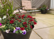 Thumbnail 18 of 20 - Typical patio with concrete pavers, fence, seating, and flowers