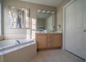 Thumbnail 15 of 31 - a bathroom with a tub and a sink and a mirror