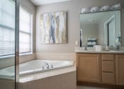 Thumbnail 16 of 31 - a bathroom with a tub and a sink and a mirror
