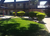 Thumbnail 7 of 11 - Camelback Properties apartments in Phoenix, AZ Grass Courtyard