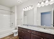 Thumbnail 21 of 60 - Bathroom area at Venue at 109 Apartments, Tennessee, 37090