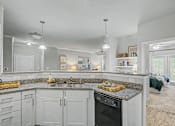 Thumbnail 16 of 48 - A kitchen with a granite countertop and a dishwasher.