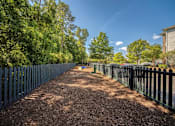 Thumbnail 41 of 41 - A long, narrow pathway flanked by trees and fences.