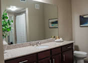 Thumbnail 18 of 30 - a bathroom with a sink and a mirror and a toilet