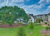 Thumbnail 31 of 50 - a large tree in front of a house on a green field at Legacy at Cibolo, Boerne, 78006