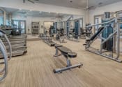 Thumbnail 30 of 39 - Fitness at Citadel at Westpointe, San Antonio, Texas