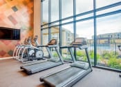 Thumbnail 8 of 15 - Cardio Machines at Edge and Stone, San Antonio