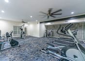 Thumbnail 12 of 19 - the gym at the preserve at green valley apartments co