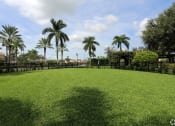 Thumbnail 20 of 24 - a lush green park with palm trees and a black fence