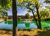 Thumbnail 40 of 41 - Scenic view of the private stocked fishing pond framed by mature trees at Compton Lake Apartments