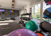 Thumbnail 53 of 62 - This is a photo of the fitness center at College Woods Apartments in the North College Hill neighborhood of Cincinnati, OH.