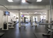 Thumbnail 79 of 98 - This is a photo of the 24-hour fitness center at Trails of Saddlebrook in Florence, KY.