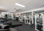 Thumbnail 81 of 98 - This is a photo of the 24-hour fitness center at Trails of Saddlebrook in Florence, KY.