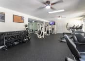 Thumbnail 83 of 98 - This is a photo of the 24-hour fitness center at Trails of Saddlebrook in Florence, KY.