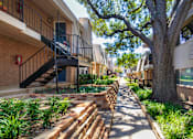 Thumbnail 30 of 31 - A tree in a residential area with a pathway and a staircase.