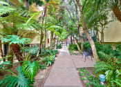 Thumbnail 1 of 26 - a path through a courtyard with palm trees and plants at Casa De Oro Apartments, California