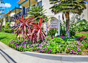 Thumbnail 1 of 26 - a garden in front of a building with palm trees and flowers at Copa Triana Apartments, Torrance, CA 90505