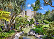 Thumbnail 7 of 55 - a garden with a pond and palm trees at Willow Tree Apartments, California, 90505