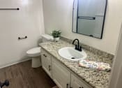 Thumbnail 53 of 54 - A bathroom with a sink, toilet, and mirror.