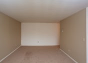 Thumbnail 19 of 25 - an empty room with beige carpet and a white wall