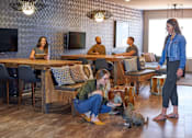Thumbnail 33 of 40 - A woman is sitting on the floor with her dog in a room with people sitting around a table at Velocity Apartments, Iowa, 50309