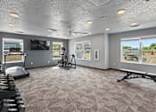 Thumbnail 36 of 53 - A spacious gym with a variety of equipment including treadmills, weights, and a bench.