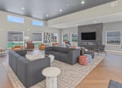 Thumbnail 11 of 53 - A modern living room with a grey sofa and a grey rug.