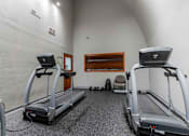 Thumbnail 43 of 66 - Two treadmills in a room with a grey carpet.