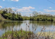 Thumbnail 30 of 30 - A serene lake surrounded by greenery under a clear sky. at Danamere Village, Carlisle, IA, 50047