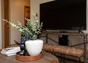 Thumbnail 13 of 22 - A black television is on a stand with a plant and a white vase at Lake Shore Park, Ankeny, IA