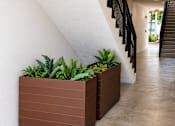 Thumbnail 9 of 48 - A long hallway with a planter on the side.
