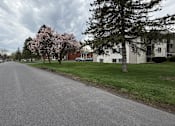 Thumbnail 31 of 38 - A tree with pink blossoms stands next to a road.