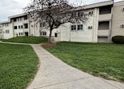 Thumbnail 29 of 38 - A grassy area in front of apartment buildings with a concrete walkway.