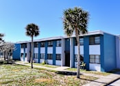 Thumbnail 10 of 12 - A blue and white building with a palm tree in front.