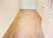 Thumbnail 15 of 30 - A white closet with a carpeted floor and a white door.