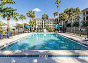 Thumbnail 11 of 12 - A swimming pool surrounded by palm trees and lounge chairs.