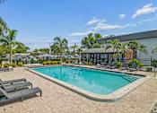 Thumbnail 18 of 23 - A pool surrounded by lounge chairs and palm trees.