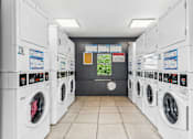 Thumbnail 21 of 23 - A row of washing machines in a laundromat.