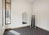 Thumbnail 11 of 32 - a room with a mirror and a yoga tree in the corner