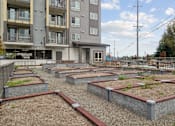 Thumbnail 14 of 32 - a community garden in front of an apartment building