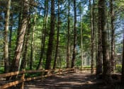 Thumbnail 26 of 28 - Nature Trail