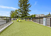Thumbnail 44 of 66 - Outdoor play area  for Pets with green turf at Ovation at Paine Field