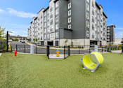 Thumbnail 43 of 66 - Play area for Pets with slide outside the apartment building at Ovation at Paine Field
