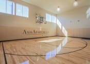 Thumbnail 11 of 23 - Indoor Basketball Court