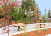 Thumbnail 22 of 25 - Picnic Tables