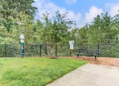 Thumbnail 23 of 26 - Dog Park