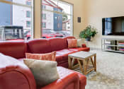Thumbnail 9 of 26 - Media Room