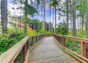 Thumbnail 33 of 36 - community-path1100x700