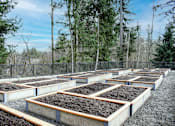 Thumbnail 30 of 35 - Garden Plots at Manor Way Apartments, WA 98204
