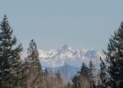 Thumbnail 23 of 23 - View of the Cascade Mountains